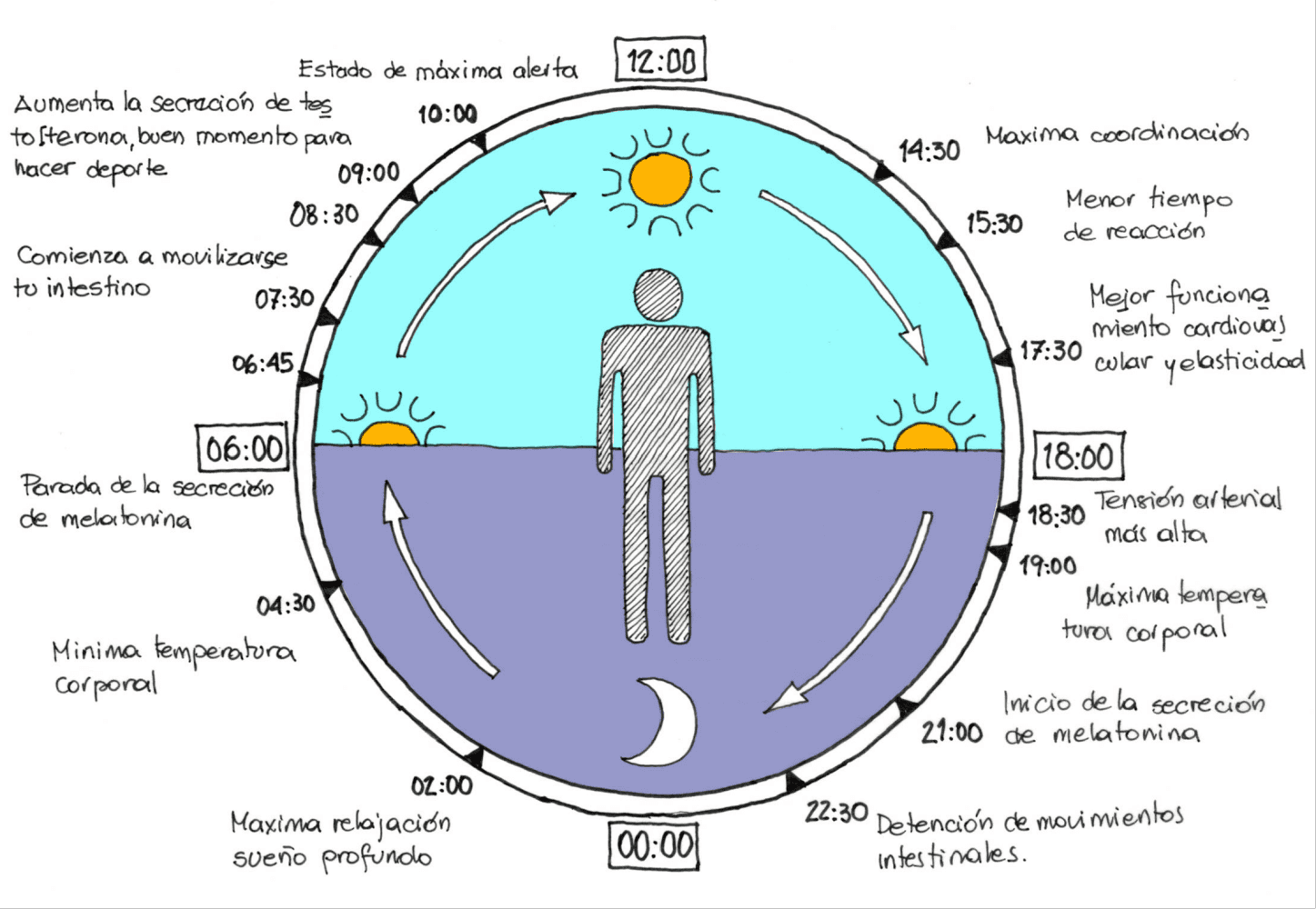 Diseñar con luz — 4