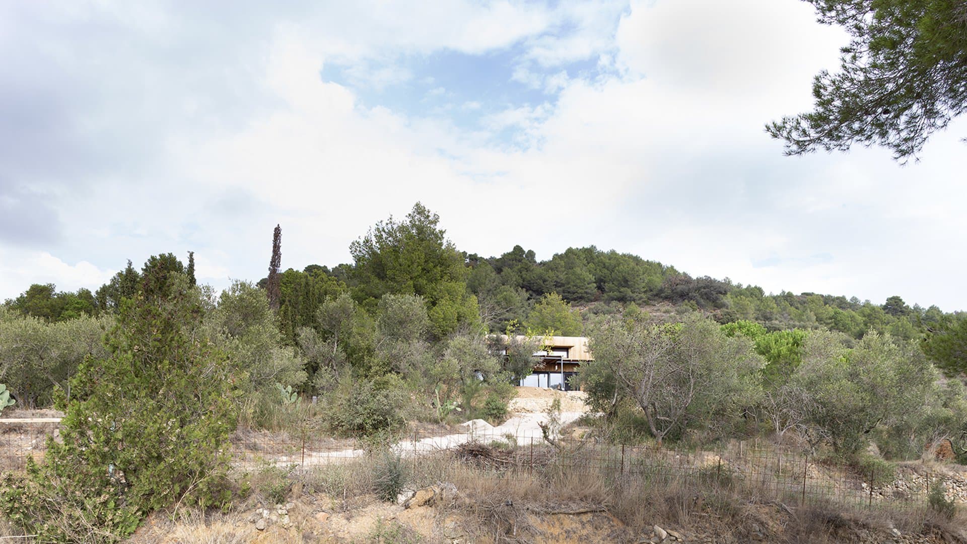 ALFORJA — 2